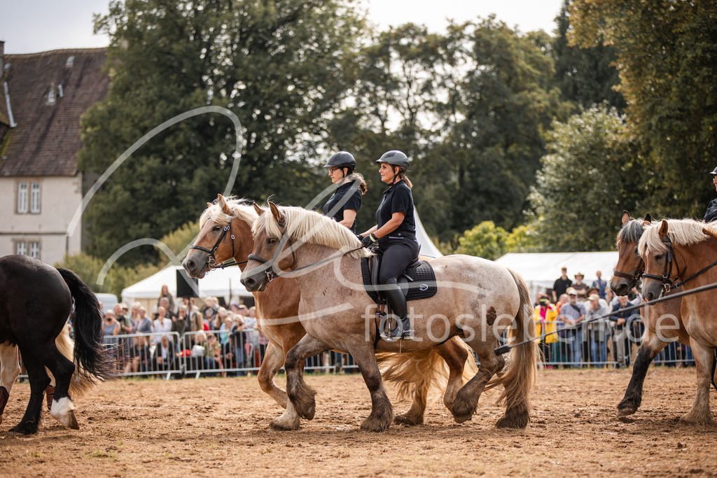 846A3979 | fotosleben - Realisiert mit Pictrs.com