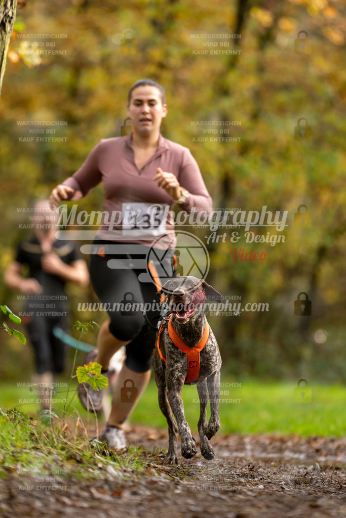 MompixPhotography_Bischwiller23_Canicross-135 | PayLife