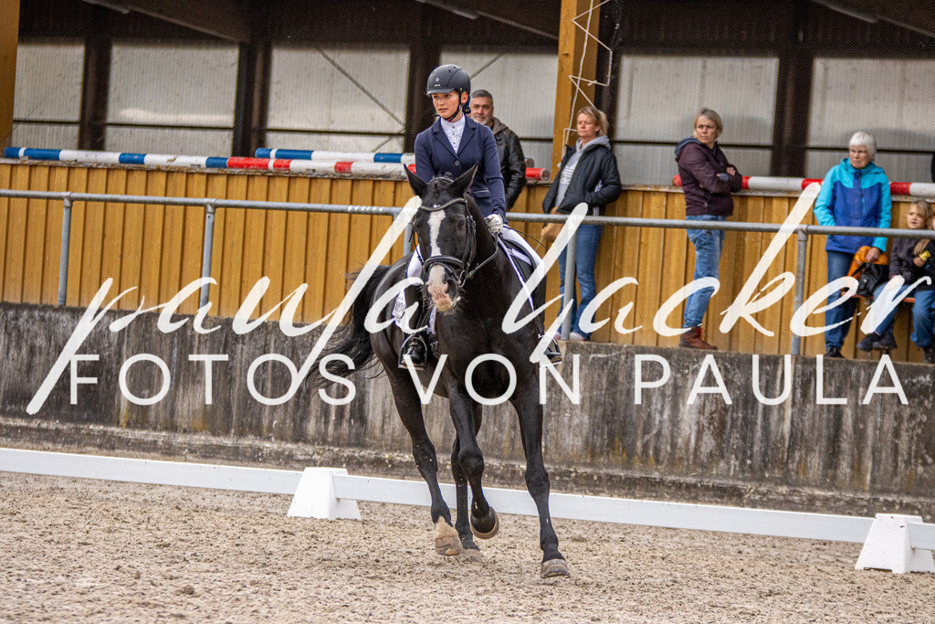 IMG_2781 | Erleben Sie dynamische Sport- und emotionale Tierfotografie in Süddeutschland mit Fotos von Paula. Spezialisiert auf Pferde- und Hundefotografie sowie Sportevents. Kontaktieren Sie mich für einzigartige und ausdrucksstarke Bilder Ihrer besonderen Momente.