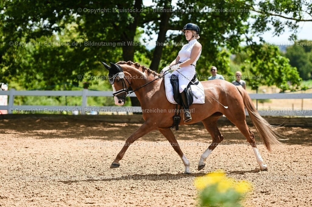 20230716_03_Dressurprfg. Kl.L - Tr._0496 | equistock
