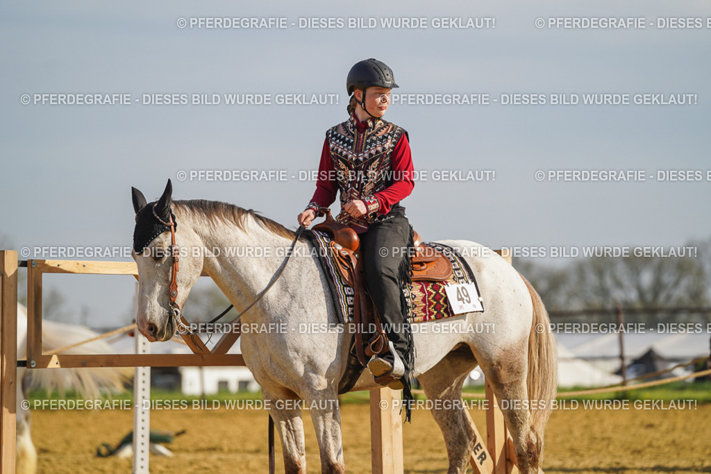 DSC00874 | Pferdegrafie