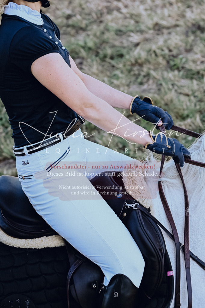 DSC_2415 | Pferde- und Turnierfotografie in Westsachsen. Pferdeportraits, Auftragszeichnungen und intuitive Kunst.