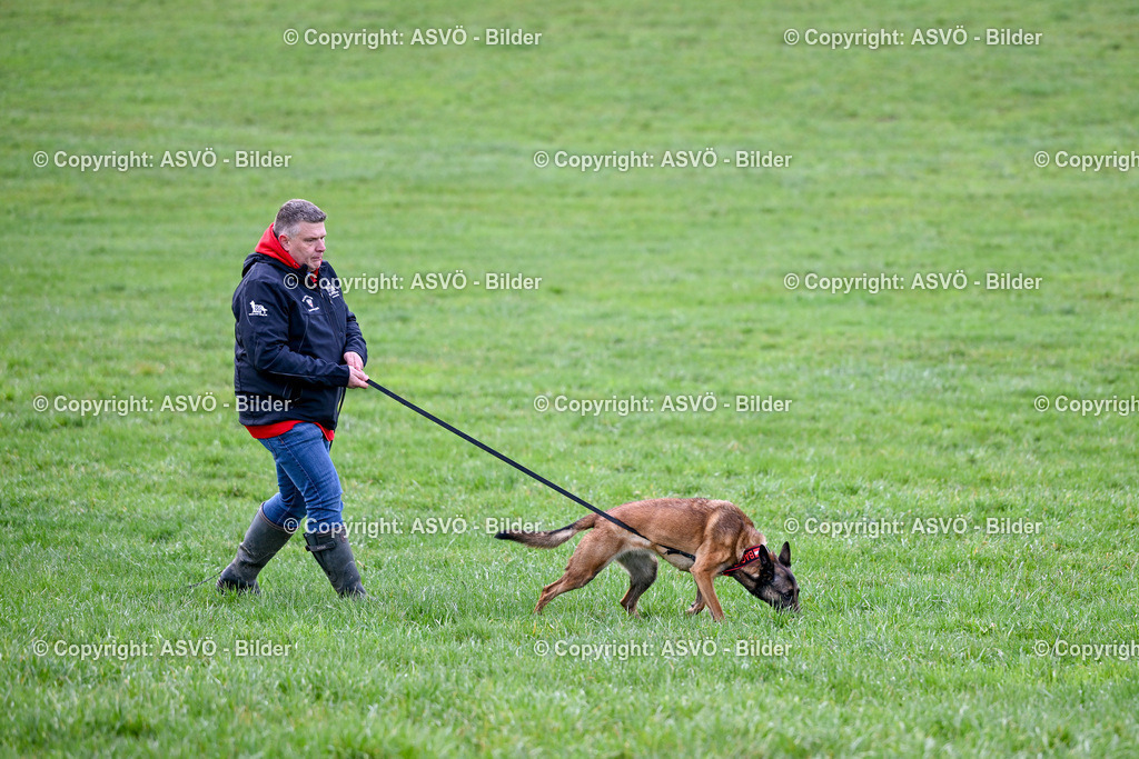 ASVÖ_ Tracking Dog World Championship 2025_ 31.03.2025-62 | 31.03.2025, AUT, ASVÖ, Tracking Dog World Championship // FCI IGP Fährtenhundeweltmeisterschaft 2025©fodo.media / Harald Dostal - Realisiert mit Pictrs.com