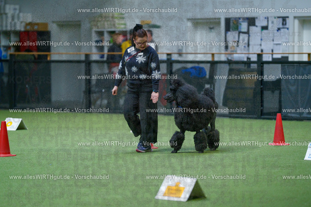 7R503451 | Professionelle Tierfotografie in Mönchengladbach von Daniel Wirth (allesWIRTHgut). Liebevolle & natürliche Bilder von Hunden & Katzen für unvergessliche Erinnerungen.