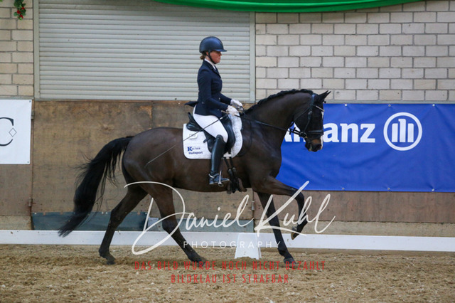 IMG_2681 | Turnierfotos kaufen im Webshop von Daniel Kuhl Photography – entdecke professionelle Reitsportfotos aus Turnieren & Events. Hochwertige Turnierbilder online bestellen & sichern. Jetzt Fotos von Reitsportturnieren kaufen!