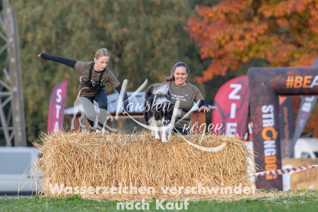 0852_ZZ91623 | kk-dogfotos