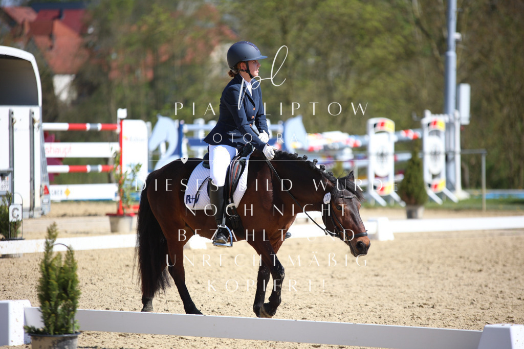 IMGT7720 | pl-fotografie