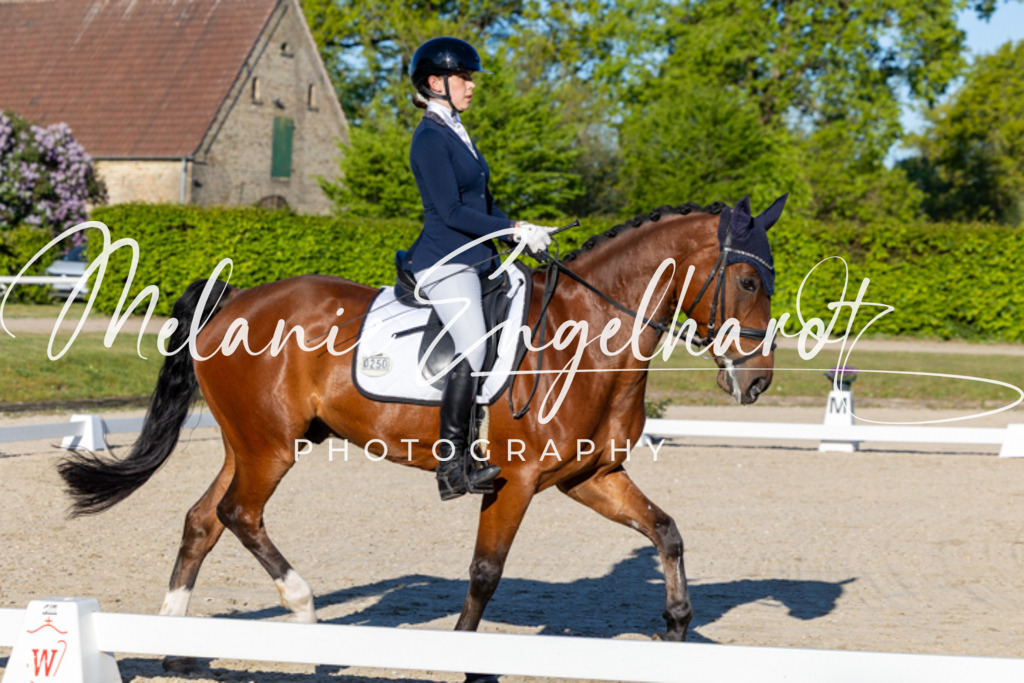 7I8A8187 | melanie-engelhardt-photography - Realisiert mit Pictrs.com
