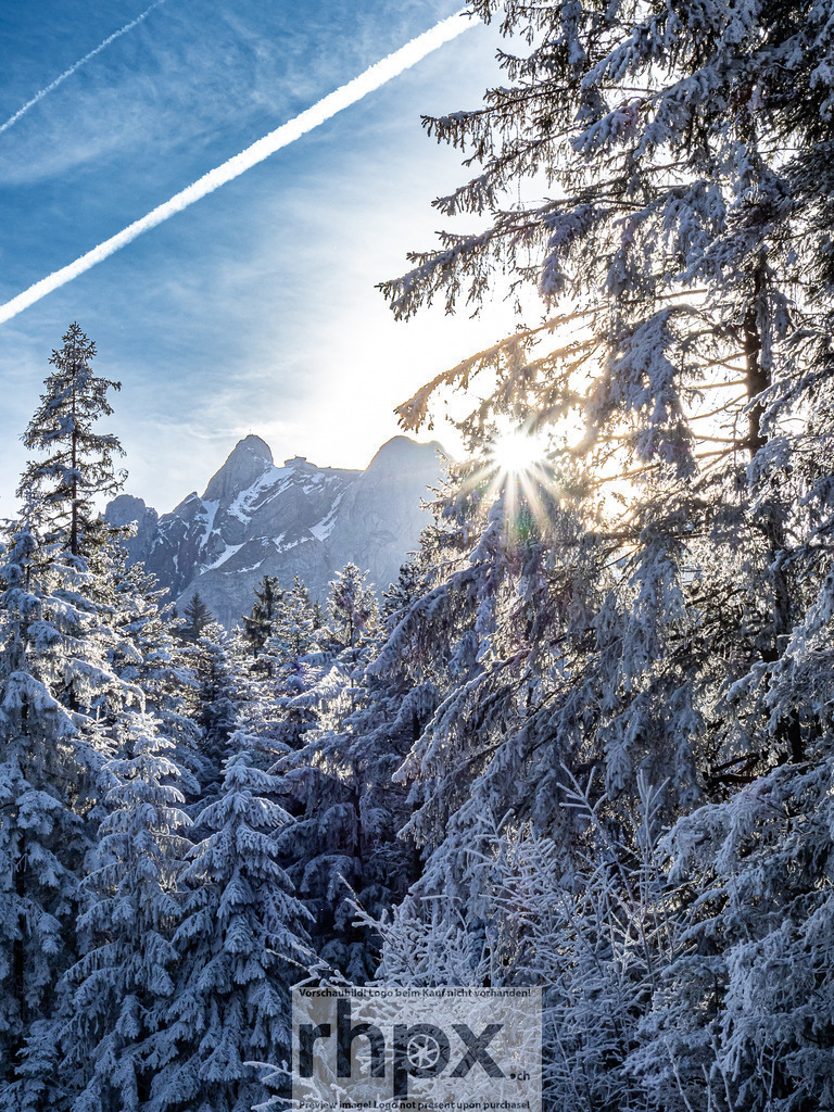 Winterlandschaft am Pilatus | Gipfel. Licht. Frost.
Die Sonne bricht sanft durch die verschneiten Tannen an der Krienseregg und beleuchtet die markante Silhouette des Pilatus. Eine glitzernde Frostschicht verwandelt die Bergwelt in eine stille, weisse Wunderlandschaft unter strahlend blauem Himmel.
Wähle unter "Produktauswahl" dein Wunschformat: Vom klassischen Wandbild über Puzzle &amp; Tassen bis zum digitalen Download (z.B. als Handy-Hintergrund).
 - Realisiert mit Pictrs.com