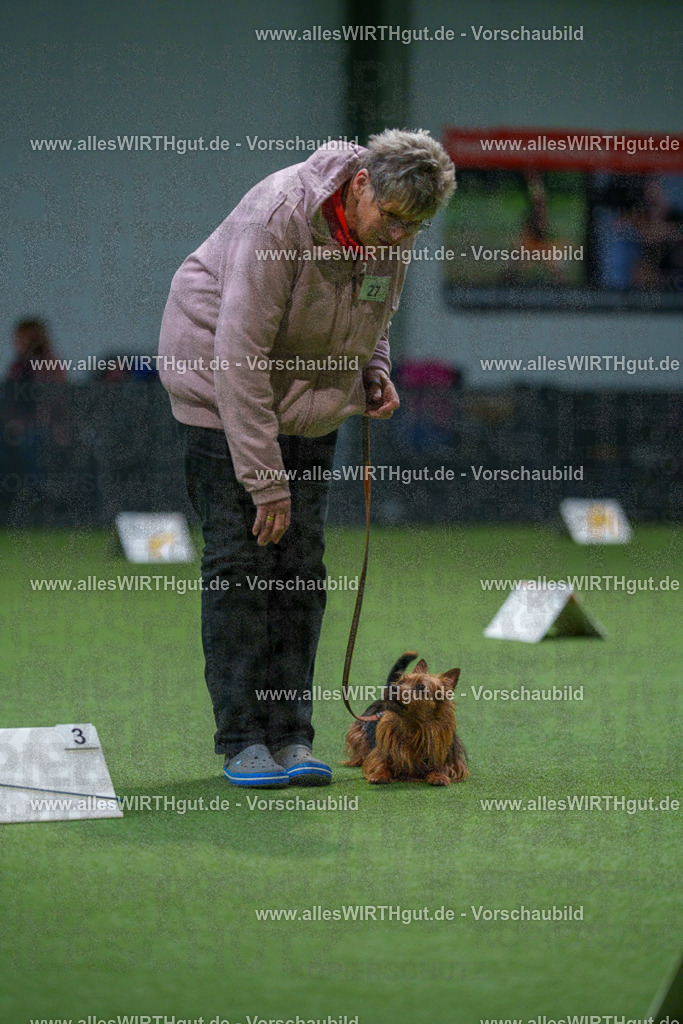 7R500413 | Professionelle Tierfotografie in Mönchengladbach von Daniel Wirth (allesWIRTHgut). Liebevolle & natürliche Bilder von Hunden & Katzen für unvergessliche Erinnerungen.