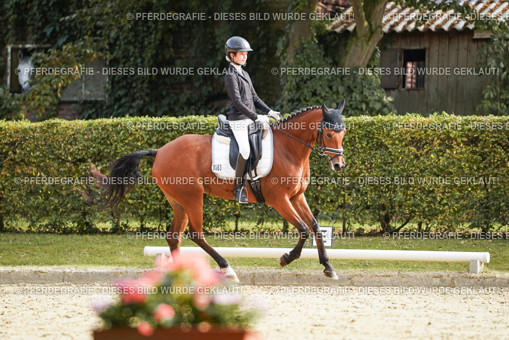 DSC05215 | Pferdegrafie