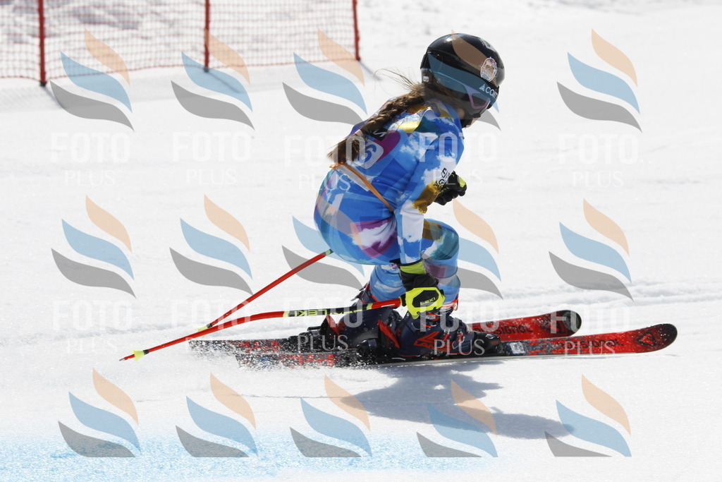 _U3G1670 | holidayphoto