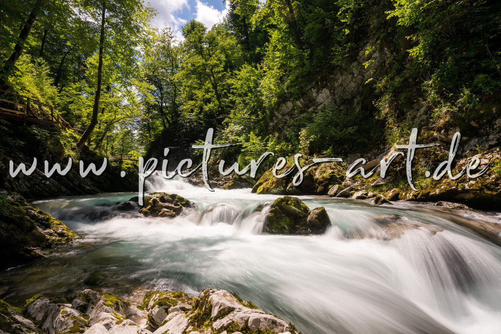 DSC09778 | pictures-art.de