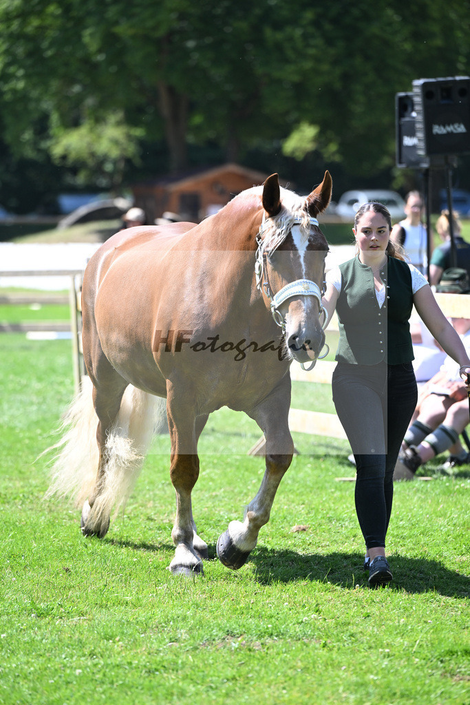 Kat-Nr. 29 Herzogin v. Sangria_Vrech_18250528 | hf-fotografie - Realizzato con Pictrs.com
