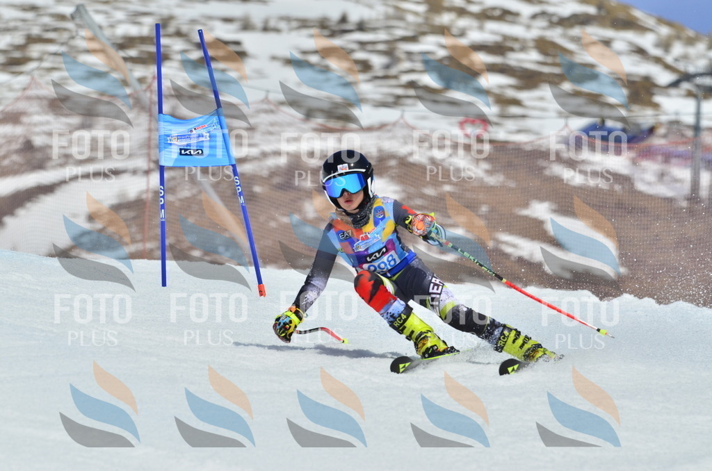 _ELE2149 | holidayphoto