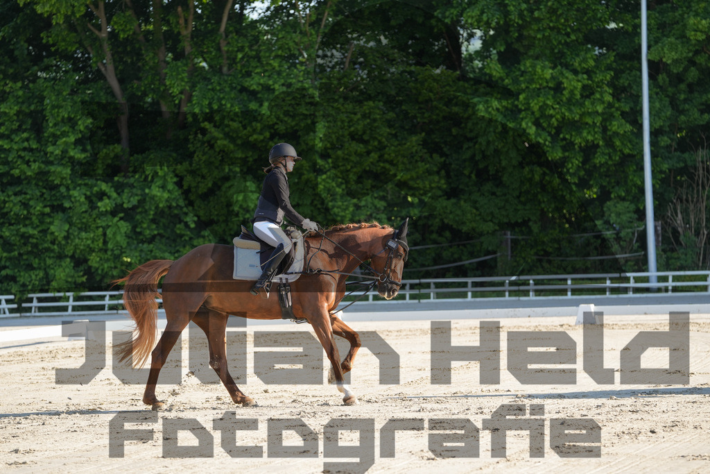 DSC02695 | Julian Held Fotografie - Realisiert mit Pictrs.com