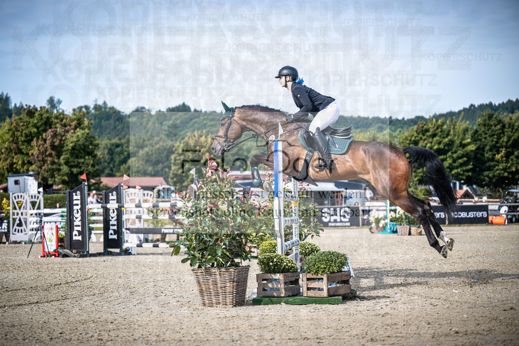 DOS_5954 | Entdecke hochwertige Reitturnierfotos von Foto Oger. Professionell, emotional und authentisch – jetzt Lieblingsmomente im Shop bestellen.Deutschlandweite Turnierfotografie. - Realisiert mit Pictrs.com
