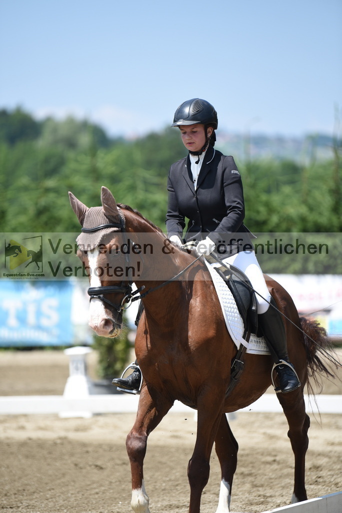DSC_0071 | equestrian-live-com