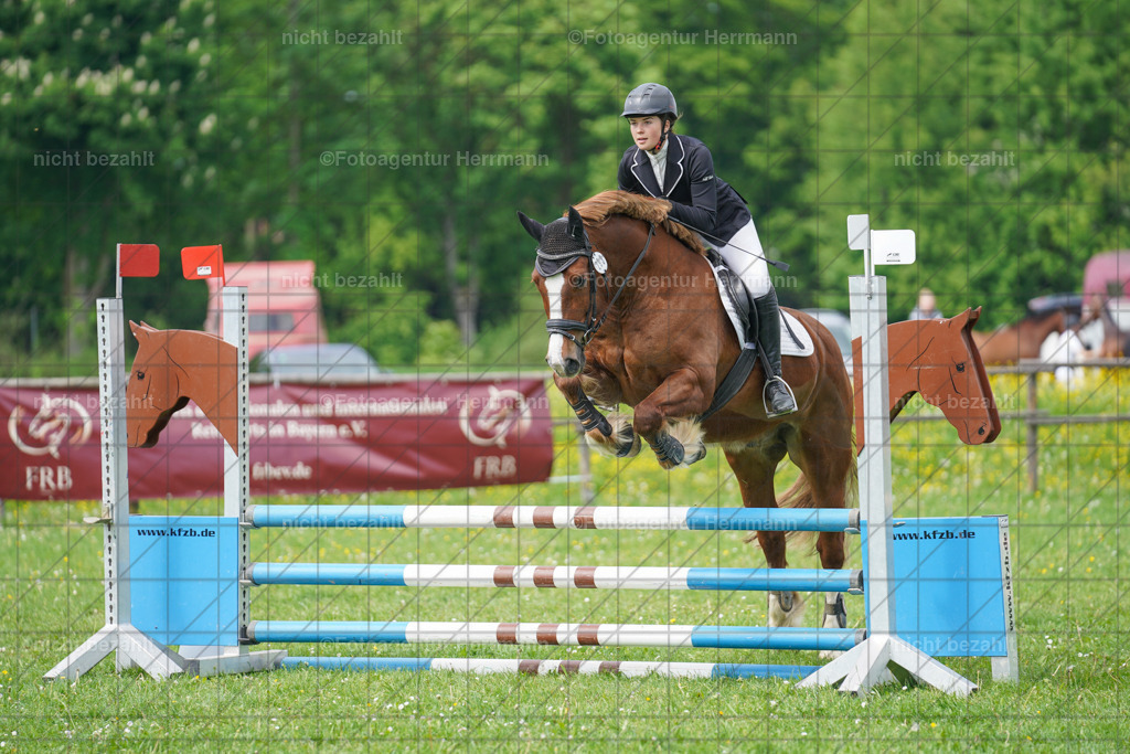 20240509-FAH02834 | Turnierbilder der Turnierfotografen Bayern, Pferdesport Fotografie, Reitsportbilder, Turnier Landberg am Lech, Turnierbilder bayern, Fotoagentur Herrmann