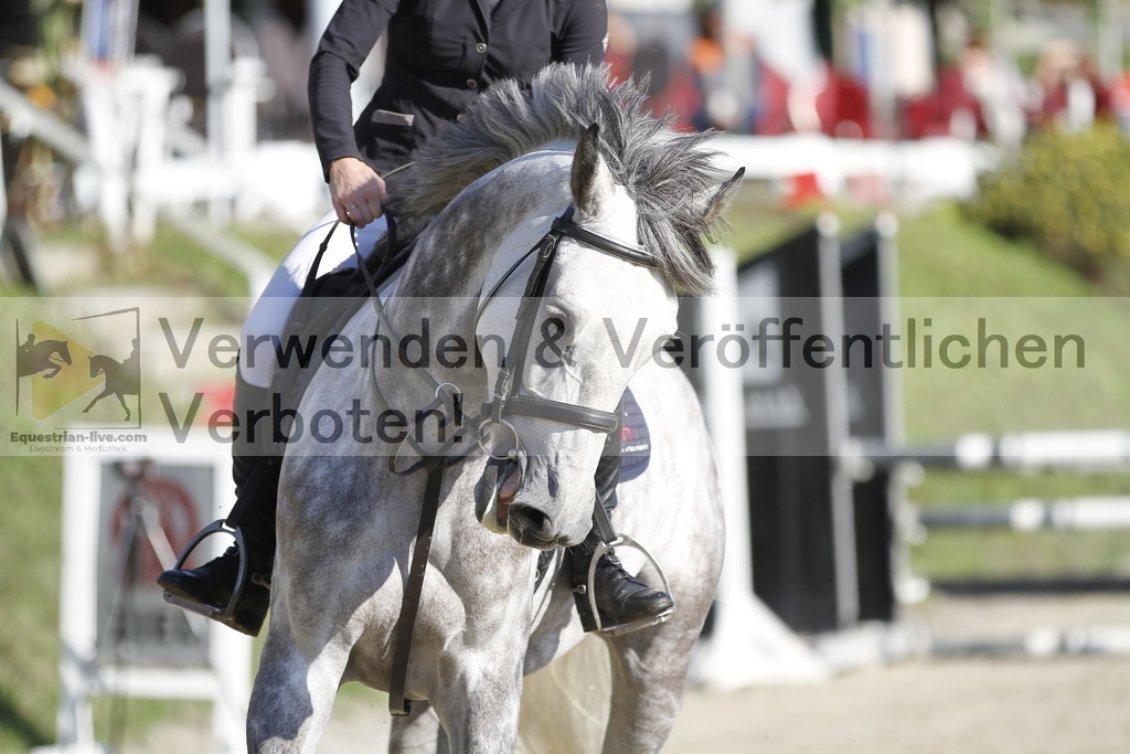 _MG_3561 | equestrian-live-com