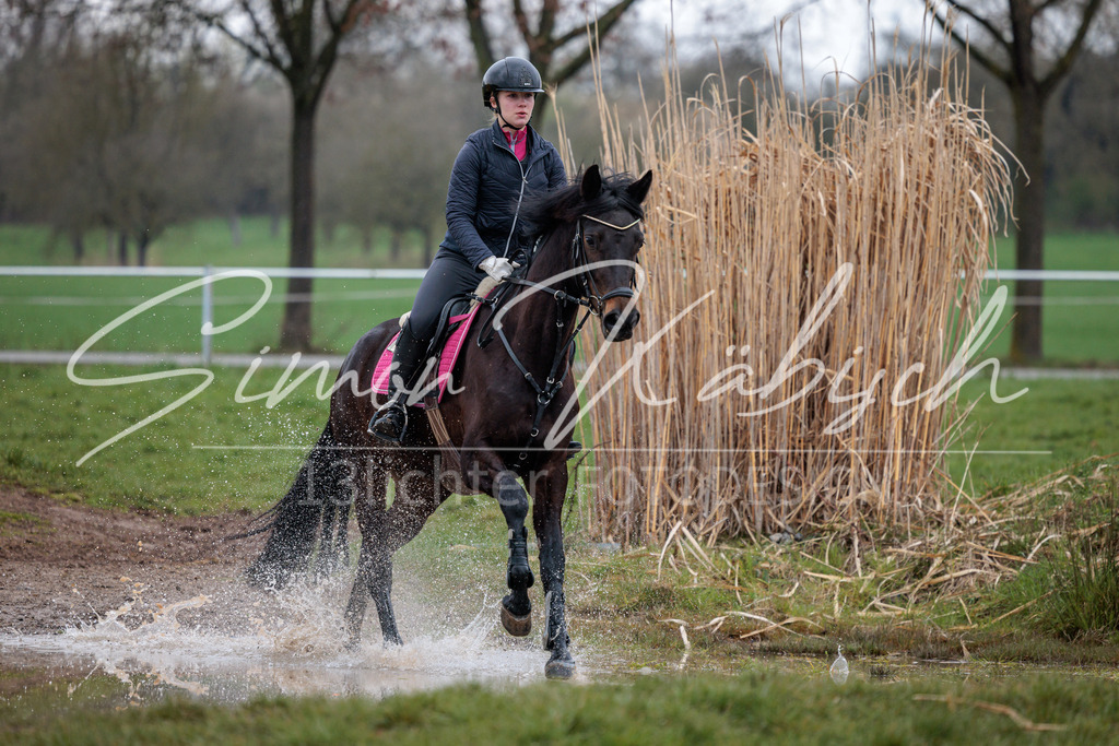 20260329-_3LI4133 | Tierfotografie Pferde, Hunde, Katzen, Haustiere.
Turnierfotografie Reitturniere, Reiten, Springreiten, Dressur in Hanau, dem Main-Kinzig-Kreis und dem Rhein-Main- Gebiet um Frankfurt
