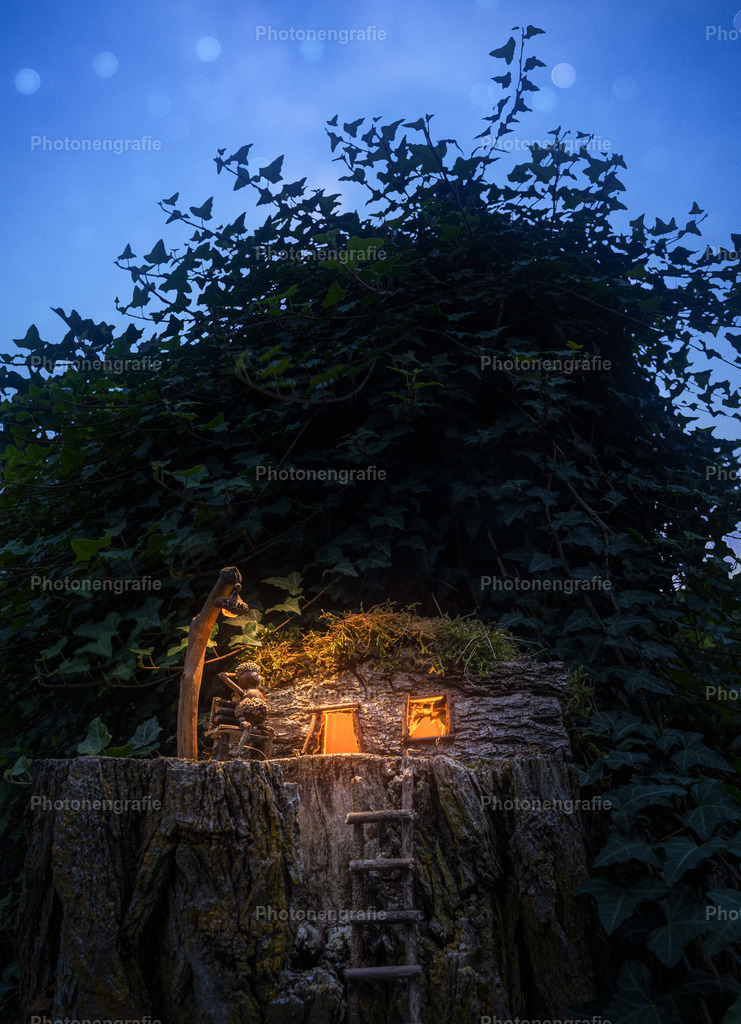 Manni-10 | Photonengrafie´s Shop - Realisiert mit Pictrs.com