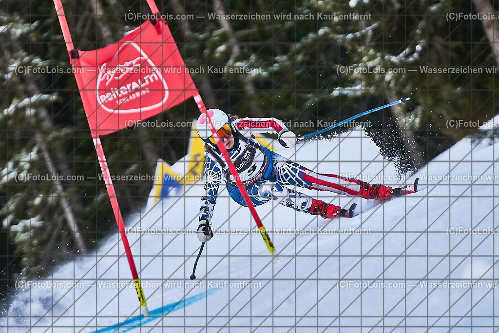 ALP6248_FIS-MastersCup_Reiteralm_SuperG_Staudinger Sabine | FIS-MastersCup Super-G auf der Reiteralm in Pichl, Fr 17. Jänner 2025.