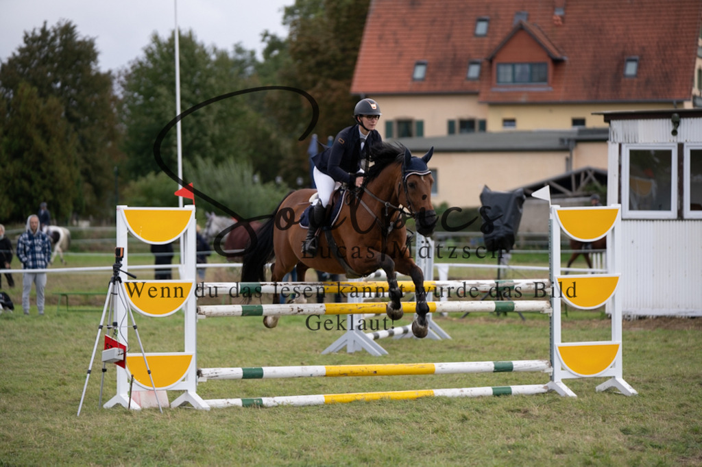 A7V07346 | Turnier/Reitfotograf