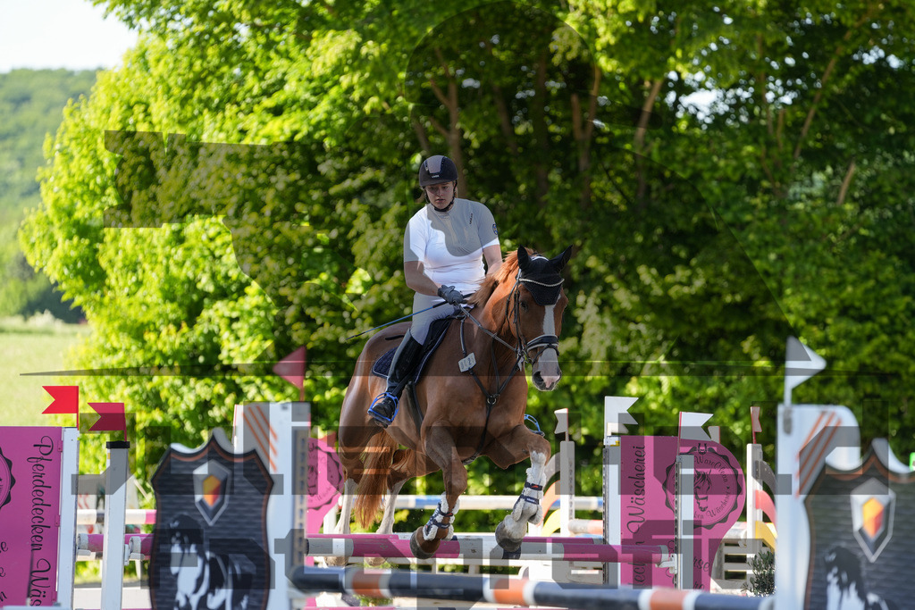 DSC02479 | Julian Held Fotografie - Realisiert mit Pictrs.com