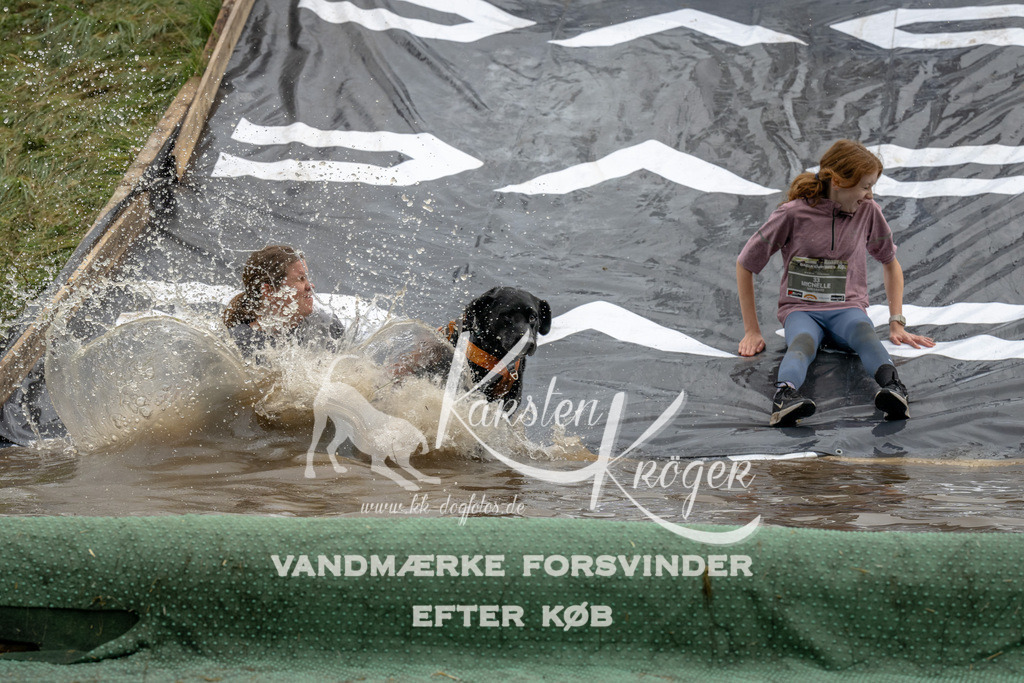 1546_ZZ90524 | kk-dogfotos