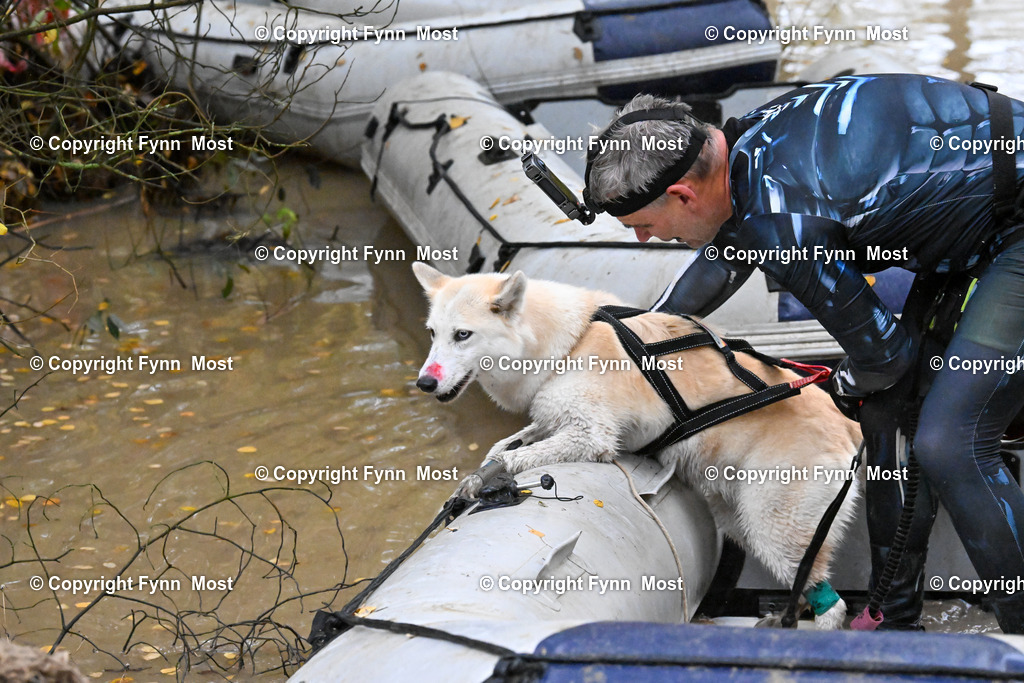 DSC_6814 | Hallo und herzlich Willkommen auf meiner Shop-Seite Fynn Most.

Ich wünsche Dir viel Spaß beim stöbern durch die Bilder, wenn Du Fragen hast oder Bilder vermisst, kannst du mir gerne eine Nachricht schreiben. - Realisiert mit Pictrs.com