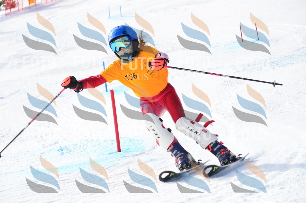 C7804 | holidayphoto