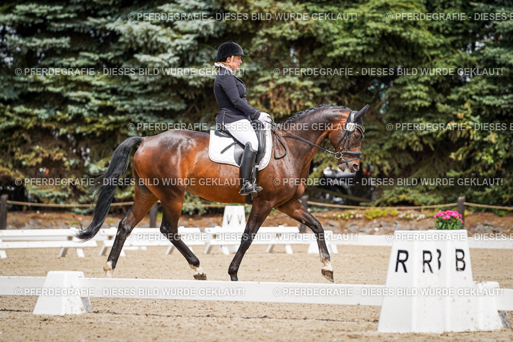 DSC01999 | Pferdegrafie