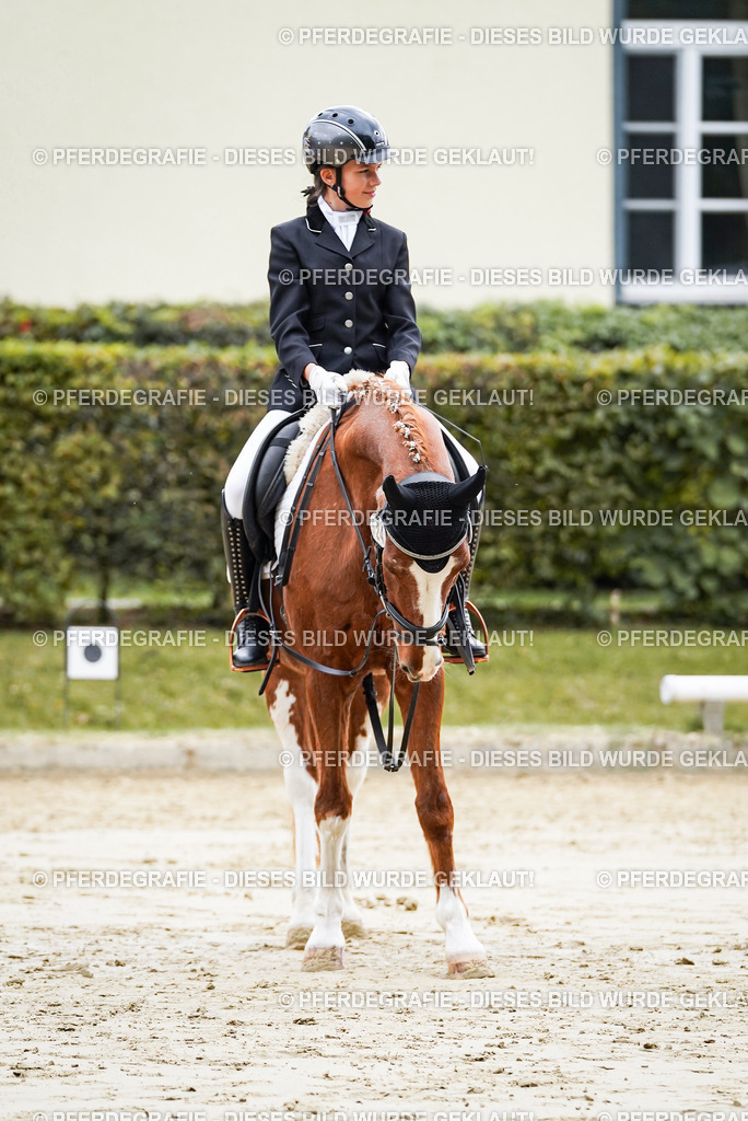 DSC05708 | Pferdegrafie