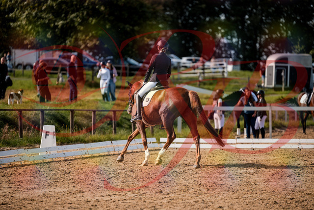 2026_10_03_Siefer-Hof_132852_Z63_90311210 | Professionelle Reitsport-, Turnier- und Eventfotografie von Robert Broda. Galerien mit ausgewählten und bearbeiteten Bildern direkt online ansehen und bestellen.