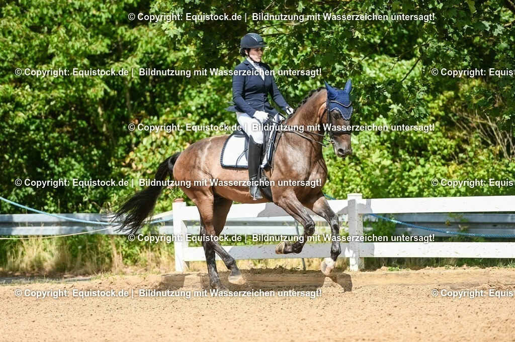 20230716_01_Dressurprüfung Kl.M_0302 | equistock