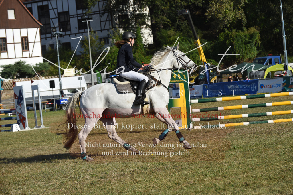 DSC_5265 | Pferde- und Turnierfotografie in Westsachsen. Pferdeportraits, Auftragszeichnungen und intuitive Kunst.