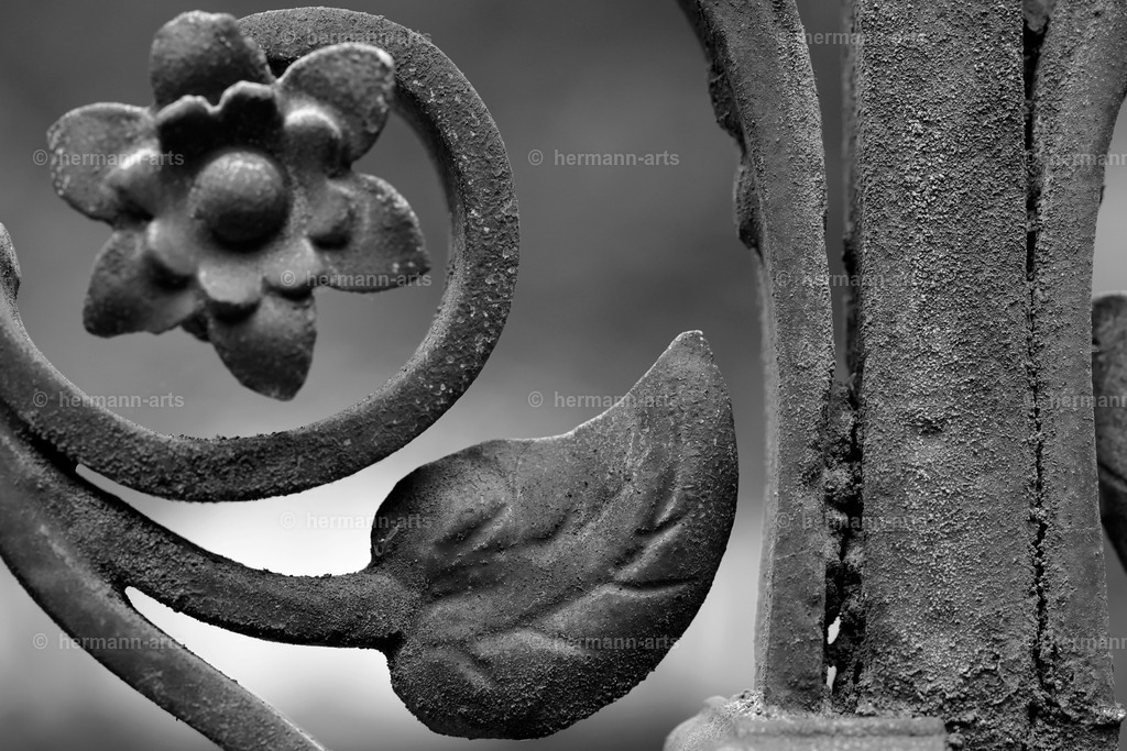 Hermann-Arts_Barockes Tor_034 | Photo Foto Kunst Art schwarzweiss Bilder Rheine Münster Berlin Blumen 