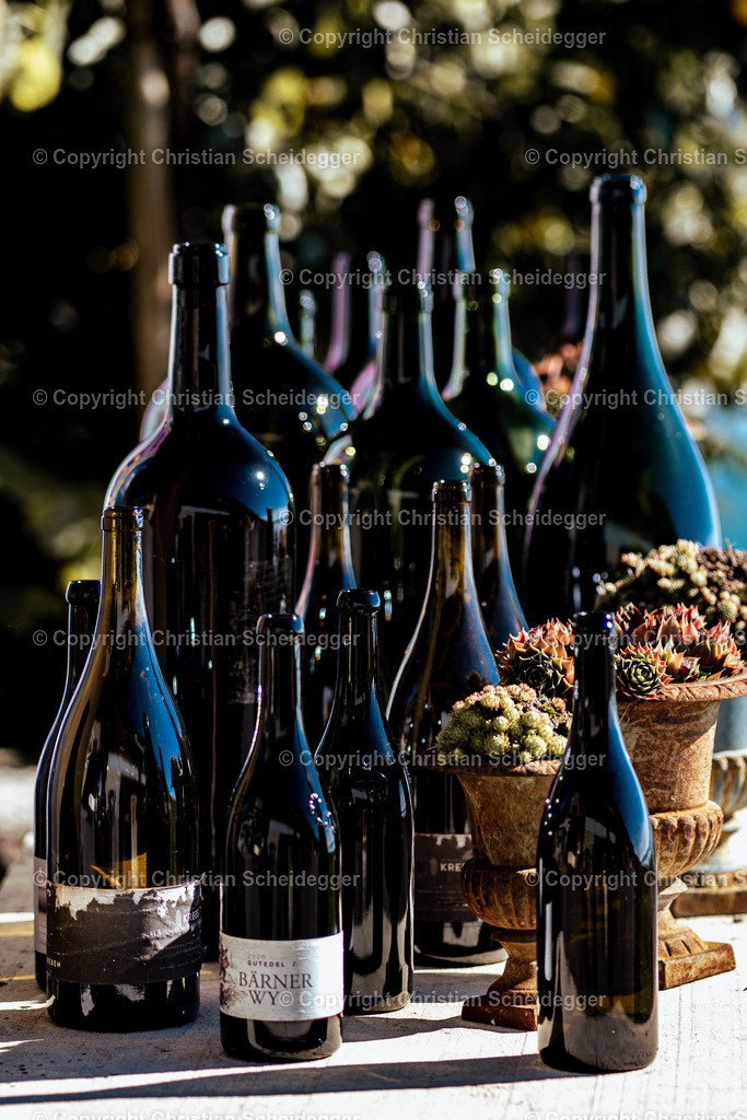 221004-Bielersee-22 | Entdecke hochwertige Fine Art Prints und Fotografien vom professionellen Fotografen aus Luzern. Jedes Motiv wird mit Liebe zum Detail aufgenommen, sorgfältig bearbeitet und in bester Qualität gedruckt – perfekt für Wohnräume, Büros oder als besonderes Ges - Realisiert mit Pictrs.com