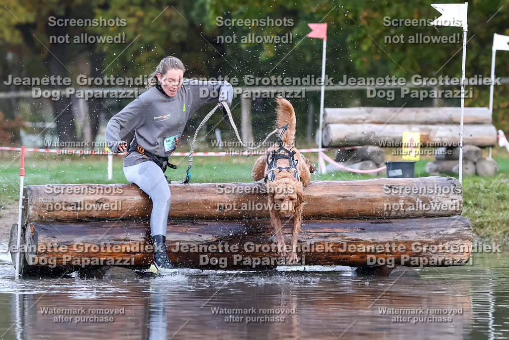 Dog Paparazzi - Strongdog 10-25-6442 | Dog Paparazzi Jeanette Grottendiek Fotografie & Videografie - Realisiert mit Pictrs.com