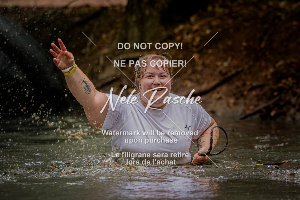 nelerasche_SaWingst1130-1200_302 | nelerasche