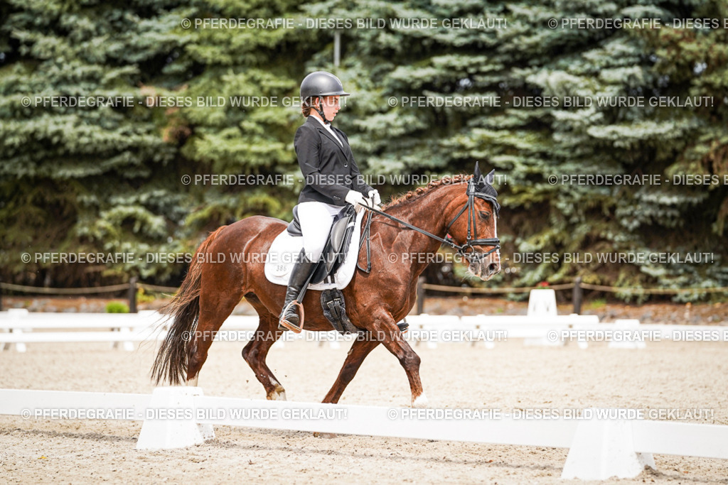 DSC04468 | Pferdegrafie