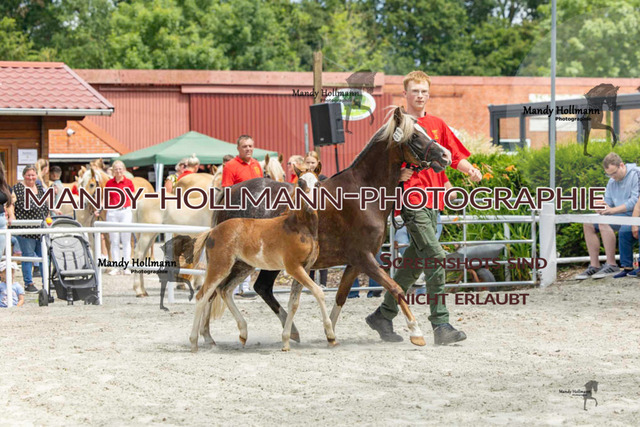 Leybucht-36 | mandyhollmannphotographie