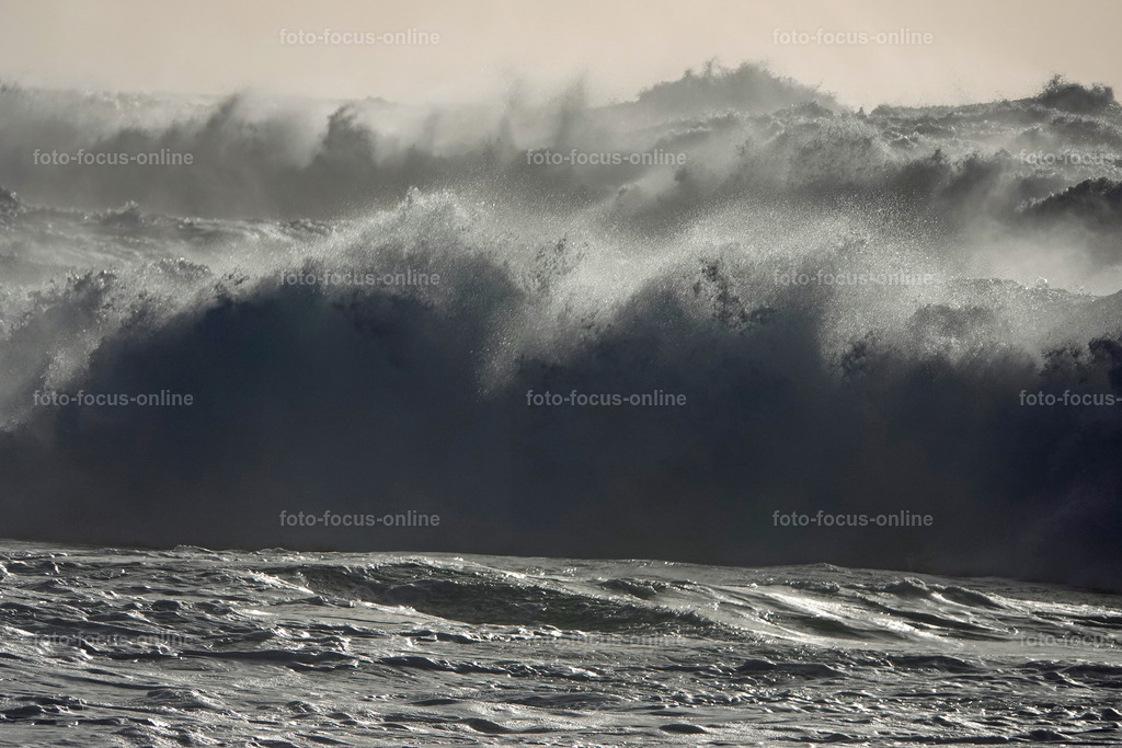Wild Waves | Wild Waves Atlantic