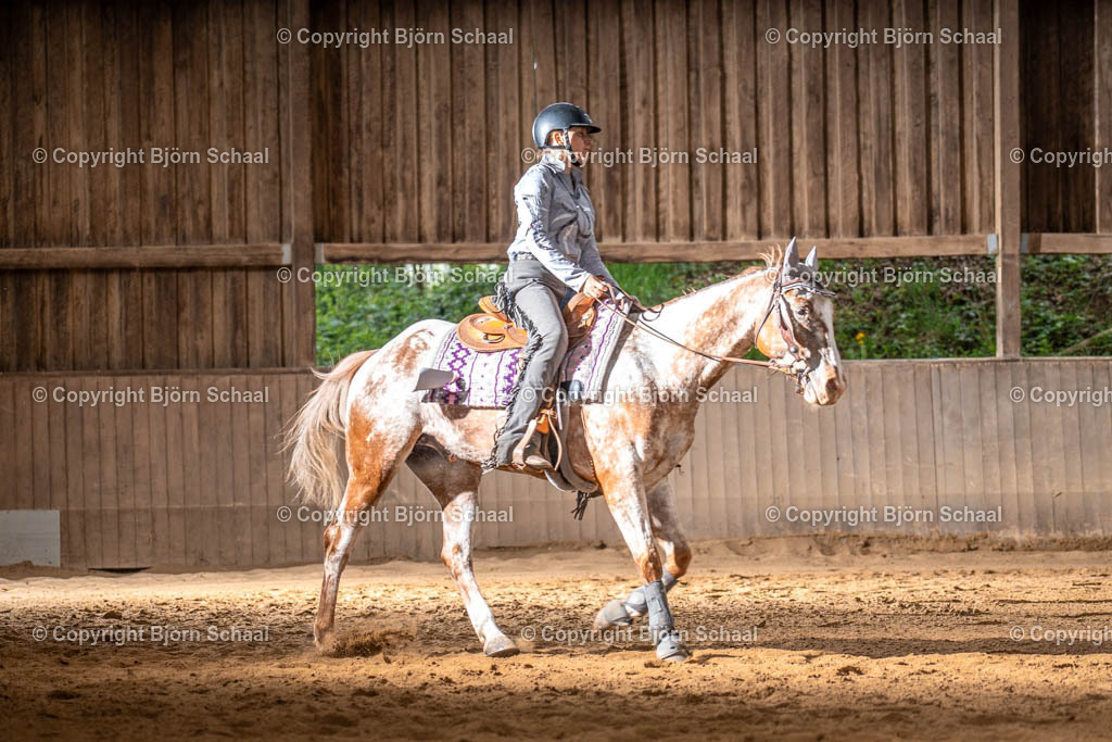 AQS05246 | BS-foto