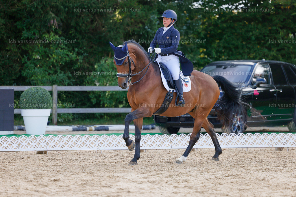 09_2-169-DRESSUR  S_  -StoibPH-5762 | working equitationturnier fotograf videograf stoibphotography marixx film working equitation deutschland reitsport turnierfotografie eventfotografie equestrian events
