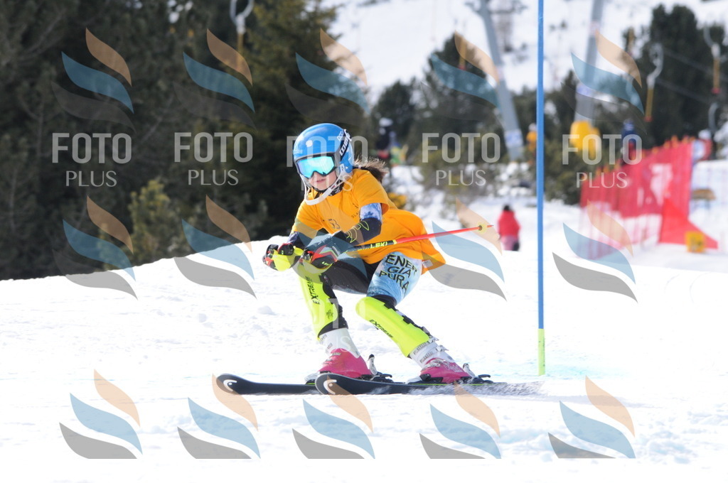 C7307 | holidayphoto