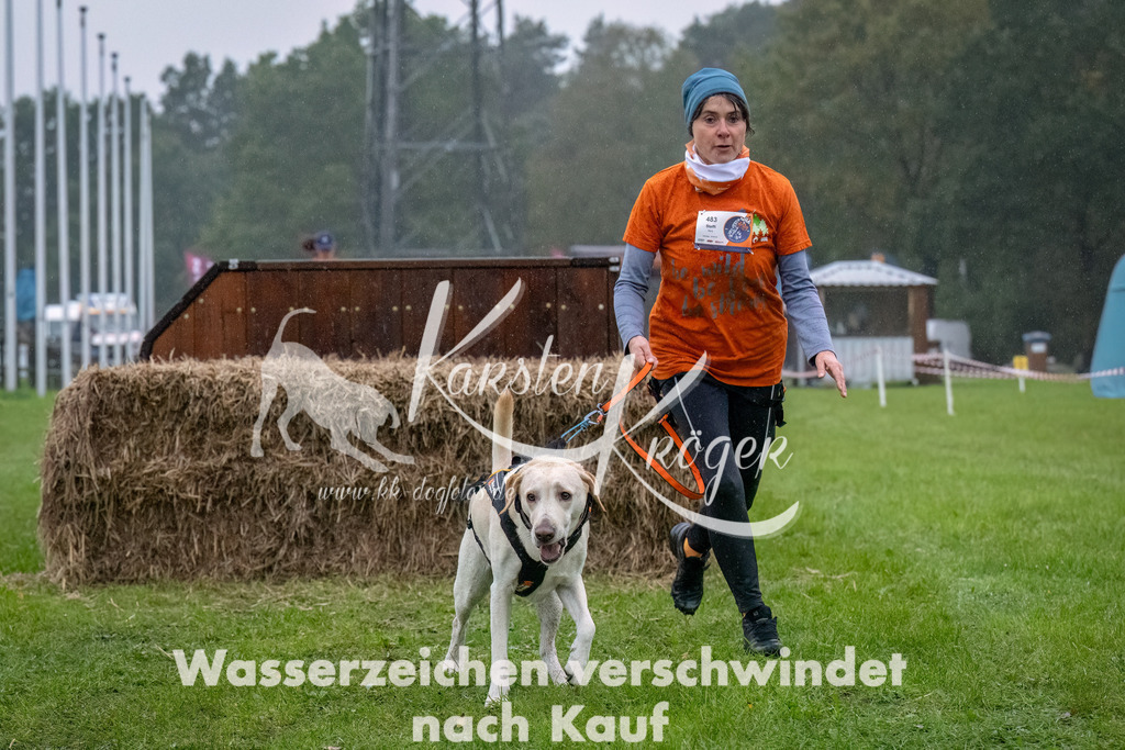 0905-_ZZ93089-Bearbeitet | kk-dogfotos