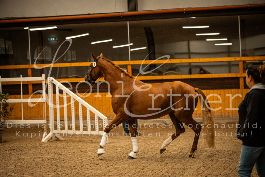 1FS_L00030 | Leoni Ertmer Photography - Realisiert mit Pictrs.com