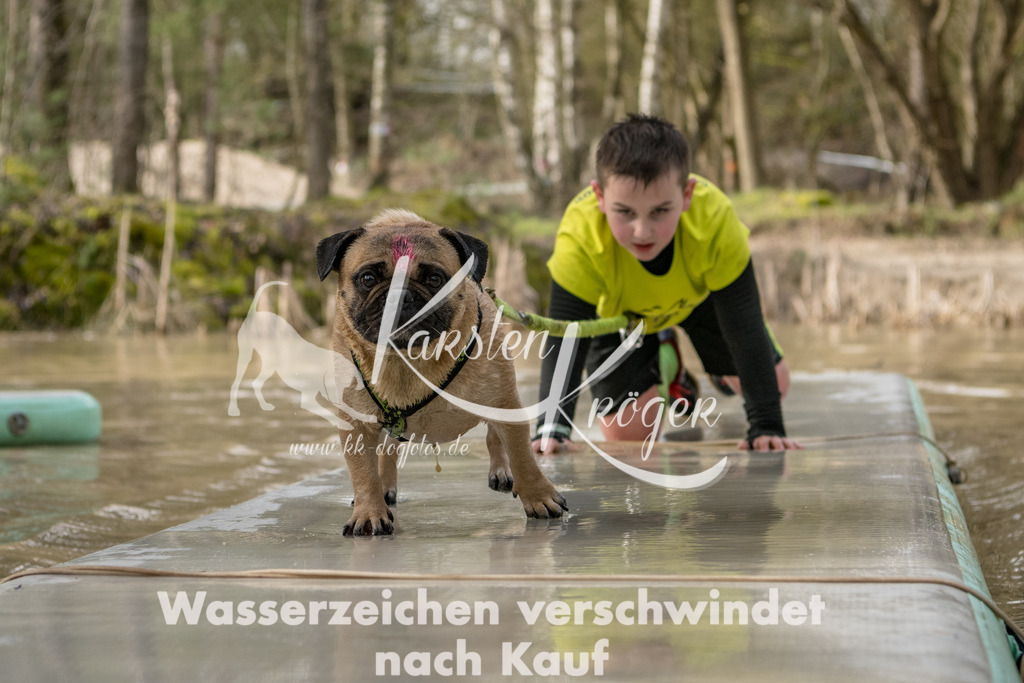 1006_ZZ92521 | kk-dogfotos